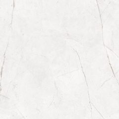 Керамогранит NL00 60x60x9 Полир. (Керамический гранит) #15