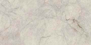 Керамогранит  RE04 40,5x40,5х8 Непол. (Керамический гранит) (43,296 м2) _2