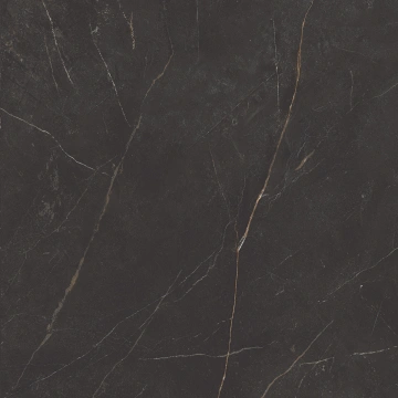 Керамогранит  CA00 60x60x9 Непол.Рект. (Керамический гранит) _14