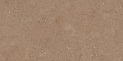 Керамогранит NP03 30,6x60,9x8 Непол. (Керамический гранит)