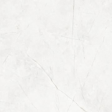 Керамогранит  RM01 80x80x11 Непол.Рект. (Керамический гранит) _4