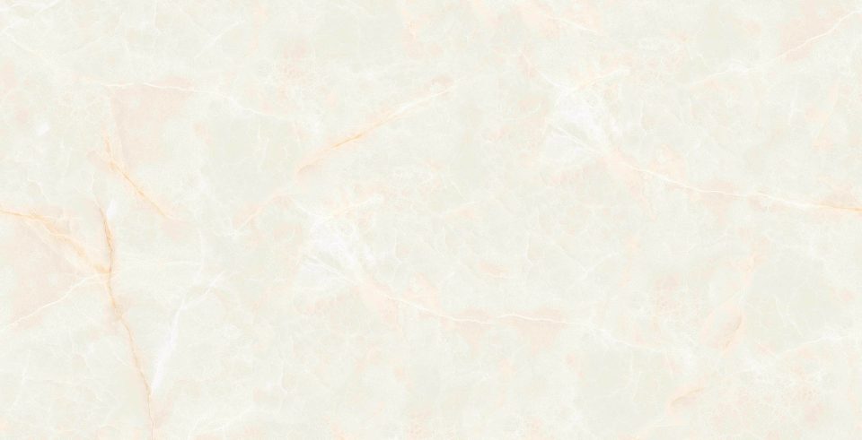 Керамогранит MOG302 60x120x9 Полир. (Керамический гранит) #8