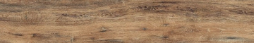Керамогранит  BG00 19,4x120x9 Непол.Рект. (Керамический гранит) _3