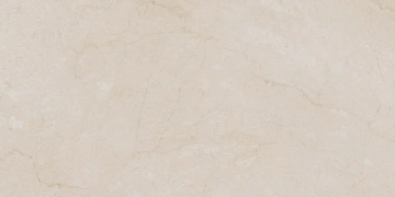 AEM00 60x120x9 Непол.Рект. (Керамический гранит)_1