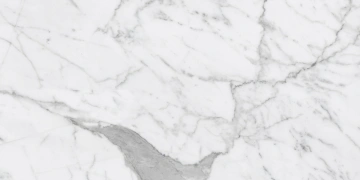 Керамогранит  SO01 40,5x40,5х8 Непол. (Керамический гранит) (43,296 м2) _5