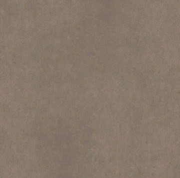 Керамогранит  CA04 60x120x9 Непол.Рект. (Керамический гранит) _10