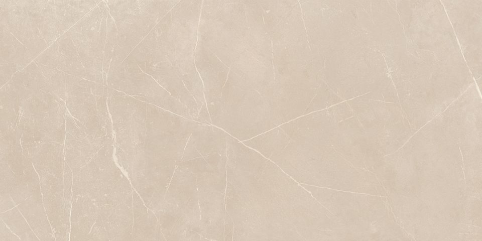 Керамогранит NL01 60x120x10 Непол.Рект. (Керамический гранит) #10