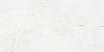 NL00 60x120x10 Непол.Рект. (Керамический гранит)_5