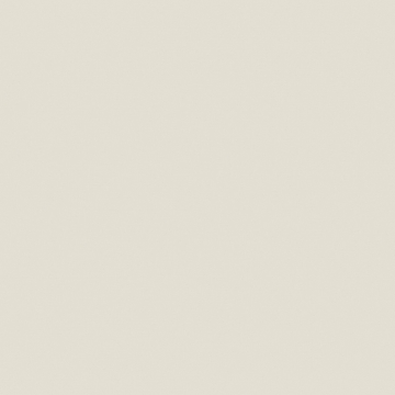 Керамогранит  YC85 60x60 Непол.Рект. (Керамический гранит) 