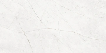 Керамогранит  NL04 60x60x10 Непол.Рект. (Керамический гранит) _8