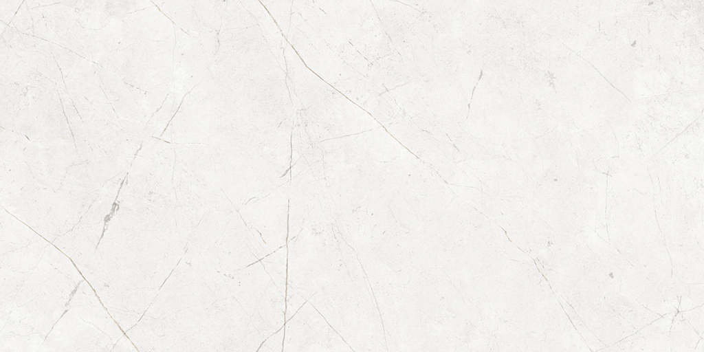 Керамогранит NL00 60x120x9 Непол.Рект. (Керамический гранит)-3