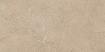 Керамогранит  RF02 30,6x60,9x8 Структур. (Керамический гранит) _5
