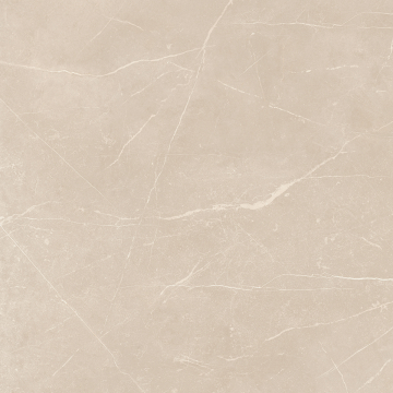 Керамогранит NL01 60x60x9 Полир. (Керамический гранит)-21