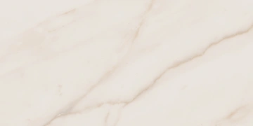 Керамогранит  YC14 60x60 Непол.Рект. (Керамический гранит) _7