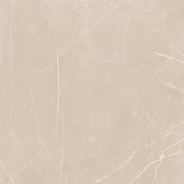 Керамогранит NL01 60x60x9 Непол.Рект. (Керамический гранит)-5