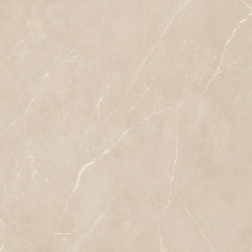 Керамогранит  NL00 60x60x10 Непол.Рект. (Керамический гранит) _12