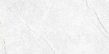 Керамогранит NL00 60x120x9 Полир. (Керамический гранит)-11