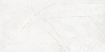 Керамогранит  NL02 60x60x10 Полир. (Керамический гранит) _2