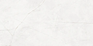 Керамогранит  NL02 60x60x10 Полир. (Керамический гранит) _5