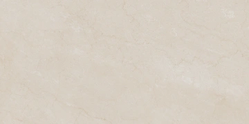 Керамогранит  AEM02 60x120x9 Непол.Рект. (Керамический гранит) _6