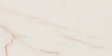 Керамогранит  YC14 60x60 Непол.Рект. (Керамический гранит) _1