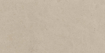 CE00 60x120x9 Структур.Рект. (Керамический гранит)