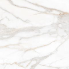 Керамогранит SM02 60x60x10 Непол.Рект. (Керамический гранит) #9