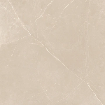 Керамогранит  NL00 60x60x10 Непол.Рект. (Керамический гранит) _2
