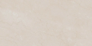 AEM00 60x120x9 Непол.Рект. (Керамический гранит)_6