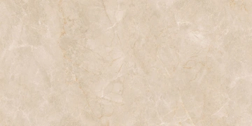 Керамогранит  RM01 60x120x10 Непол.Рект. (Керамический гранит) _5