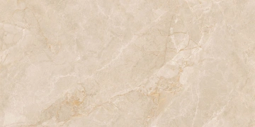Керамогранит  RM01 60x120x10 Непол.Рект. (Керамический гранит) _1