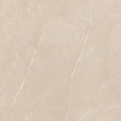 Керамогранит NL01 60x60x10 Непол.Рект. (Керамический гранит) #18