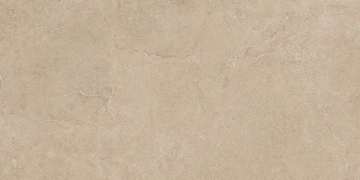 Керамогранит  RF02 30,6x60,9x8 Структур. (Керамический гранит) _4