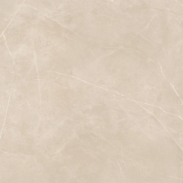 Керамогранит  NL00 60x60x10 Полир. (Керамический гранит) _5