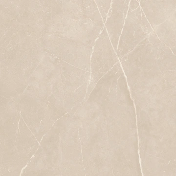Керамогранит  NL00 60x60x10 Полир. (Керамический гранит) _10