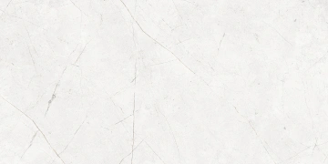 Керамогранит  NL02 60x60x10 Полир. (Керамический гранит) _1