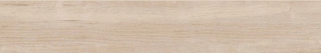 SF02 19,4х120х10 Непол.Рект. (Керамический гранит)_13