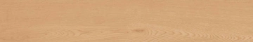Керамогранит  BG01 19,4x120x10 Непол.Рект. (Керамический гранит) _5