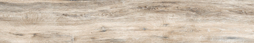 Керамогранит BG00 19,4x120x10 Непол.Рект. (Керамический гранит)-4