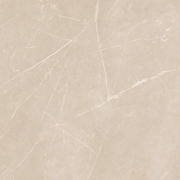 Керамогранит  NL00 60x60x10 Полир. (Керамический гранит) _15