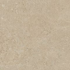 Керамогранит NP02 40,5x40,5x8 Непол. (Керамический гранит) (43,296 м2) #2