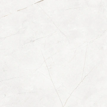 Керамогранит  TF03 60x60x9 Непол.Рект. (Керамический гранит) _1
